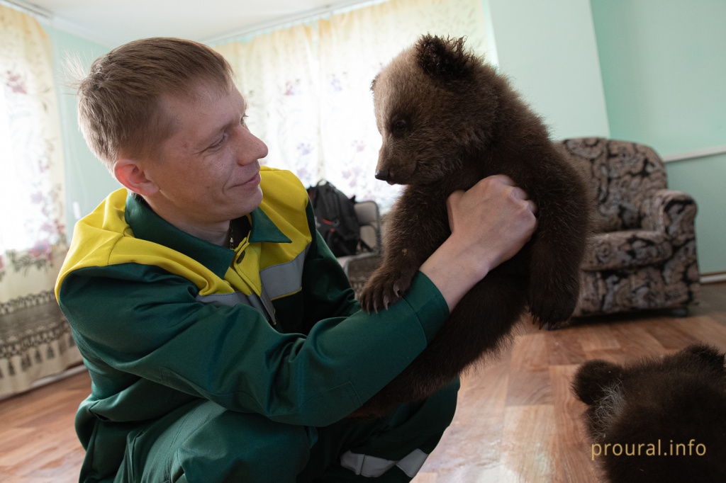 медведи мишки 2020 парк лесоводов зверинец (9).jpg