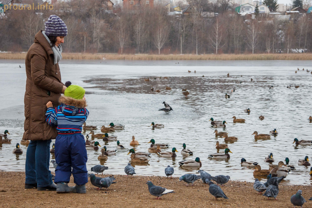 IMG_0753.jpg IMG_0753.jpg