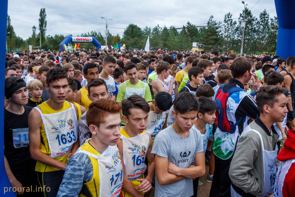 IMG_5297.jpg IMG_5297.jpg