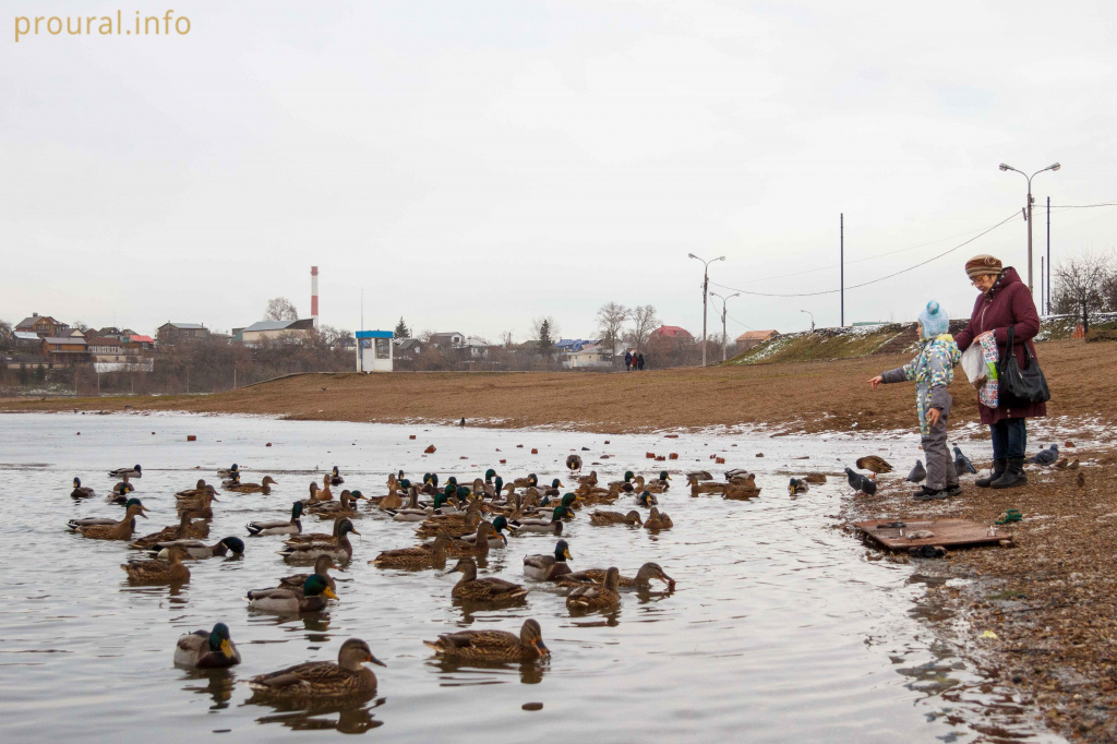 IMG_0883.jpg IMG_0883.jpg