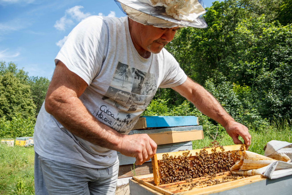 IMG_6927.jpg IMG_6927.jpg