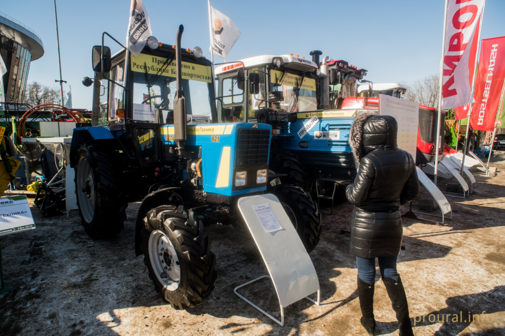 DSC_7922.jpg DSC_7922.jpg