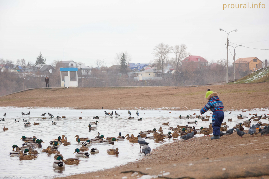 IMG_0746.jpg IMG_0746.jpg