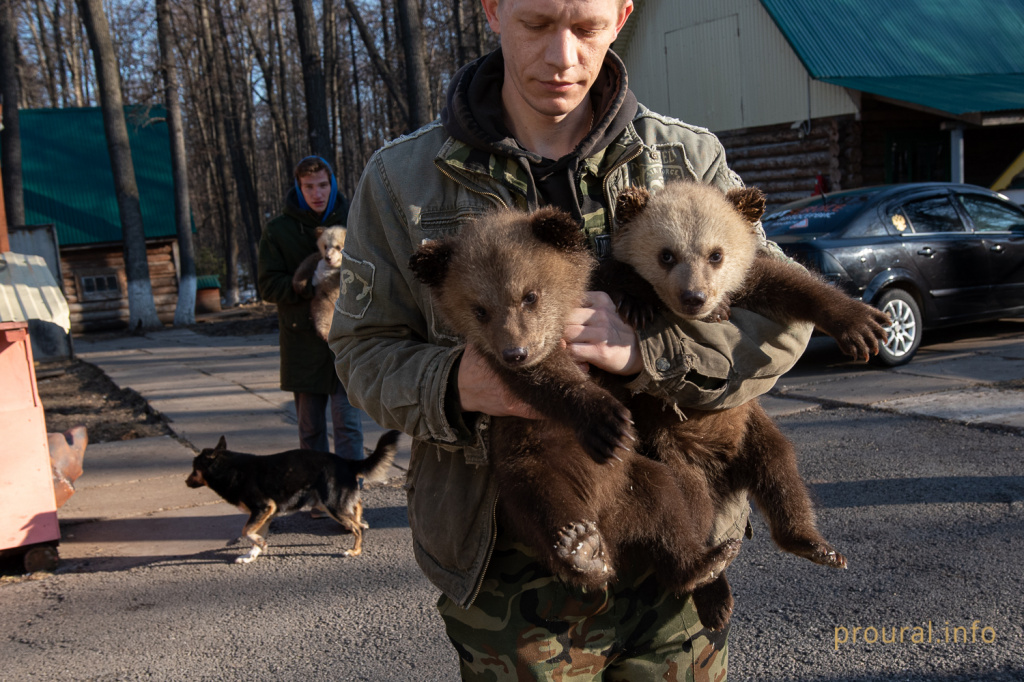 медведи мишки 2020 парк лесоводов зверинец (1).jpg
