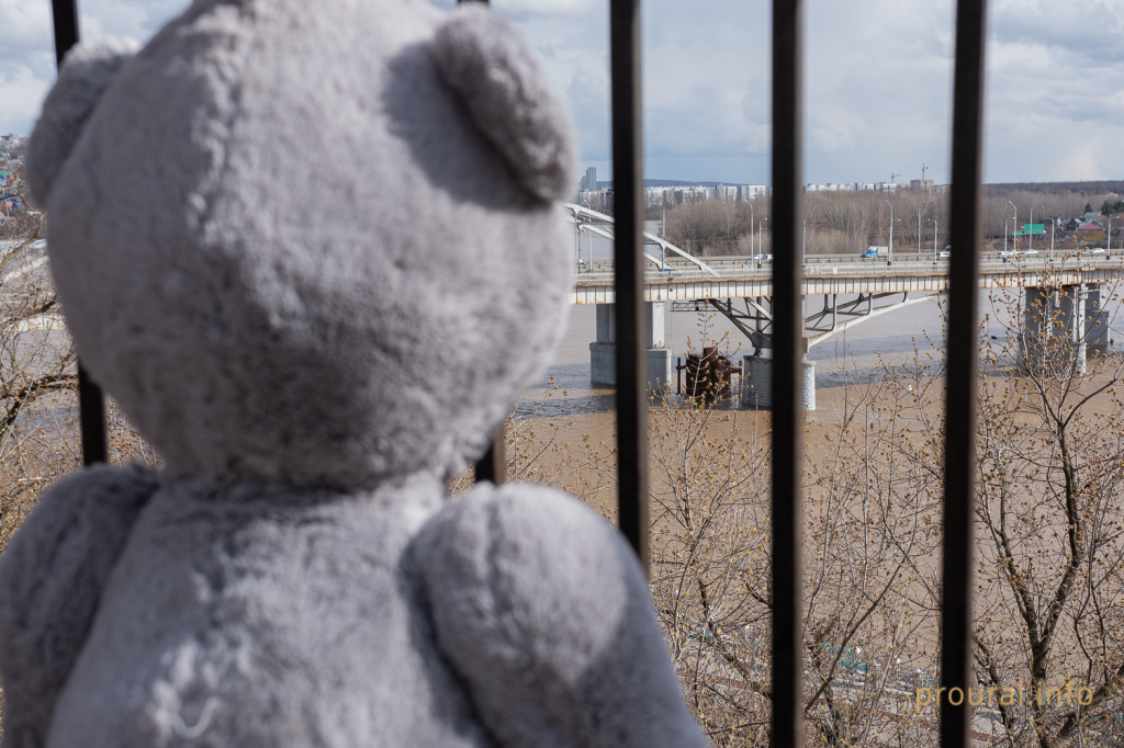 Мишка медведь уфа парк коронавирус карантин (3).jpg