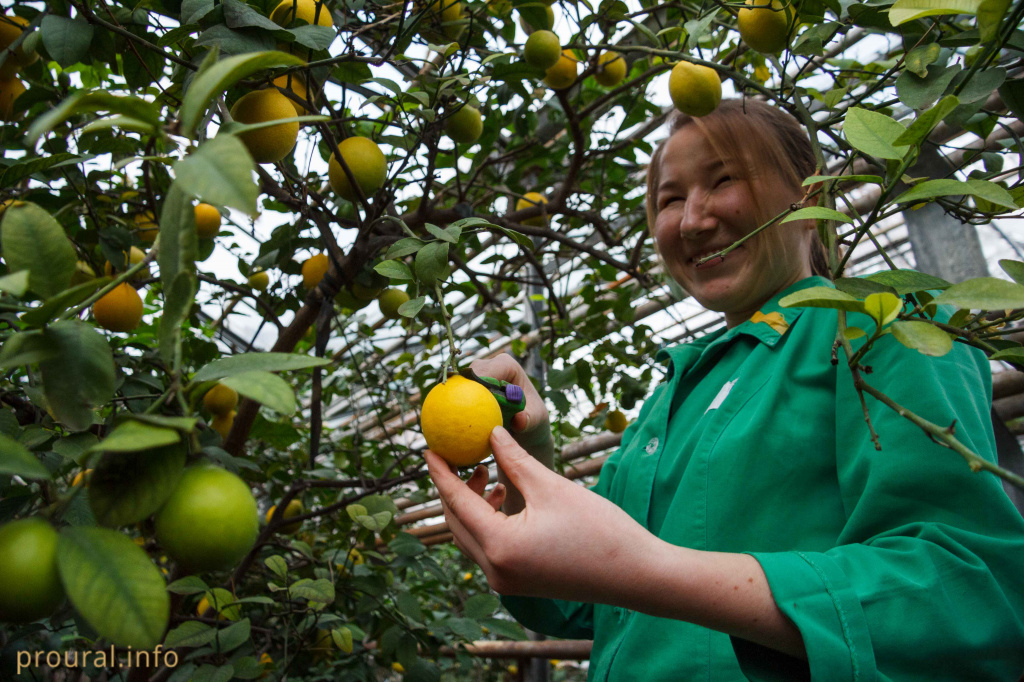 IMG_6156.jpg IMG_6156.jpg