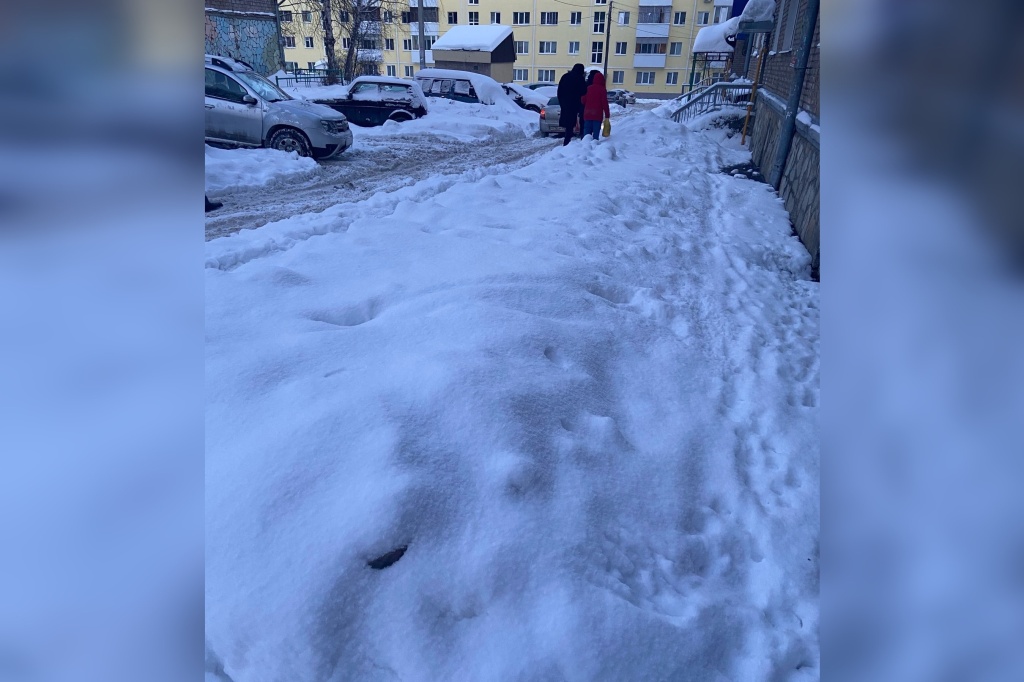 снег 9.jpg снег 9.jpg