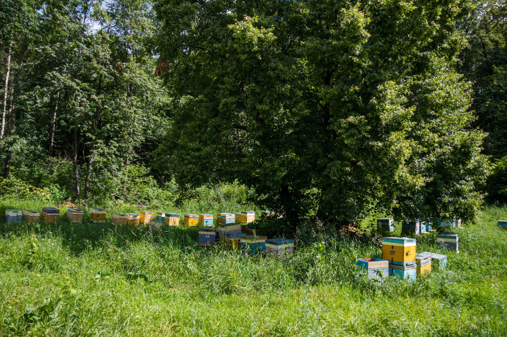 IMG_6984.jpg IMG_6984.jpg