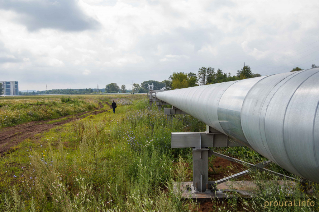 IMG_2668.jpg IMG_2668.jpg