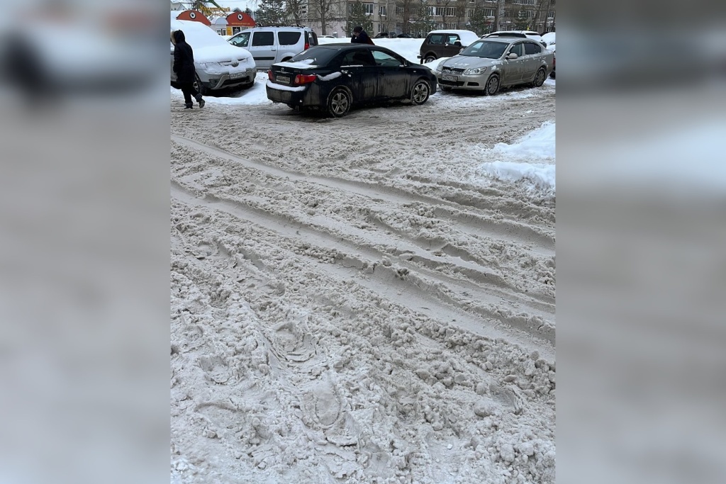 снег 3.jpg снег 3.jpg