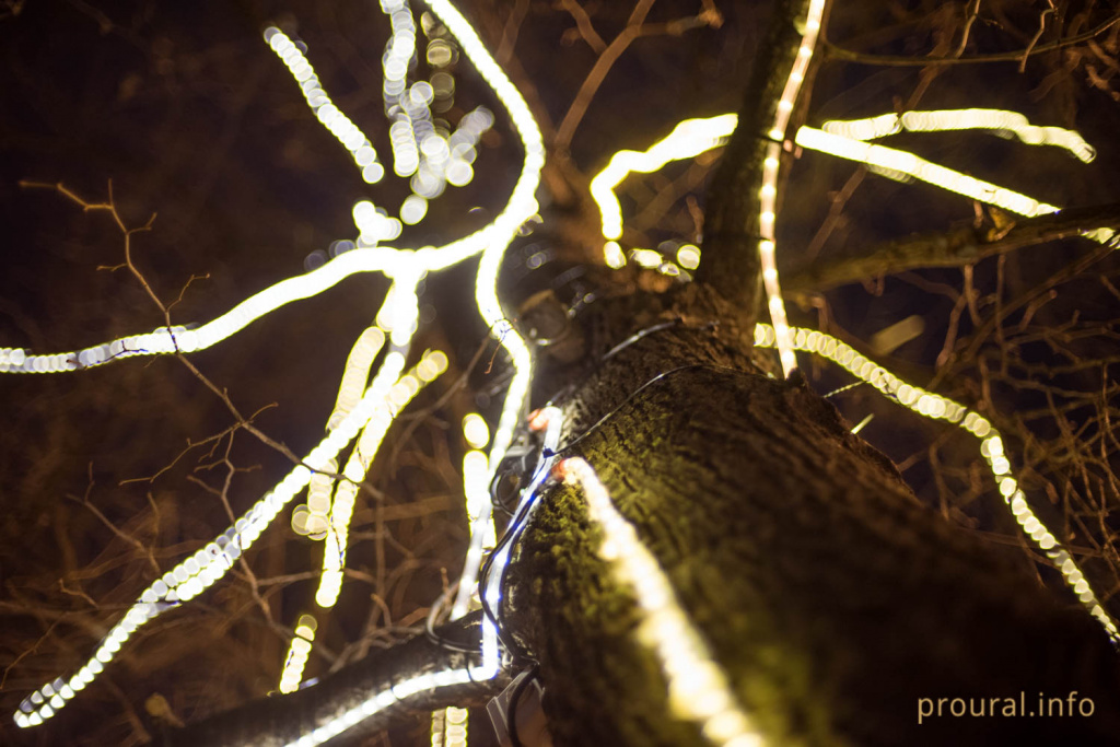 улица ленина зима гирлянды витрины (4).jpg