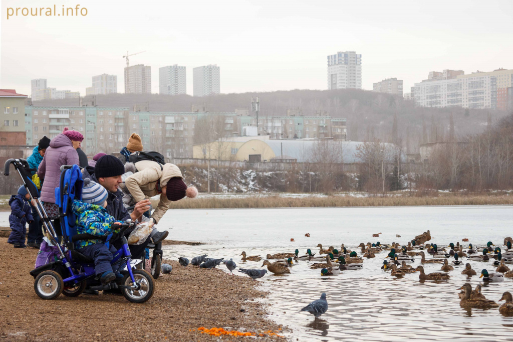 IMG_1089.jpg IMG_1089.jpg