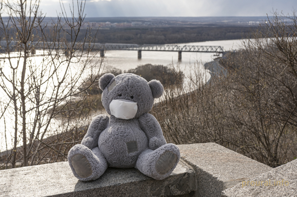 мишка медведь парк карантин коронавирус (3).jpg