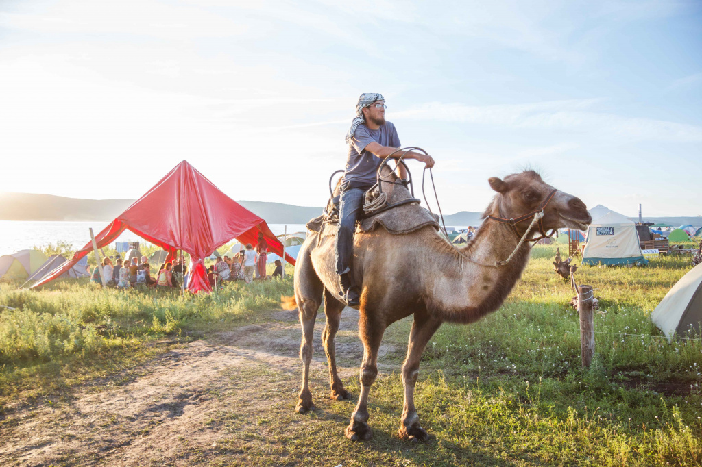 IMG_4943.jpg IMG_4943.jpg