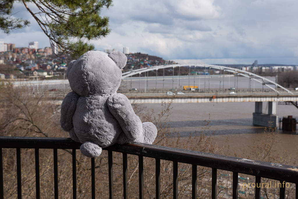 Мишка медведь уфа парк коронавирус карантин (4).jpg