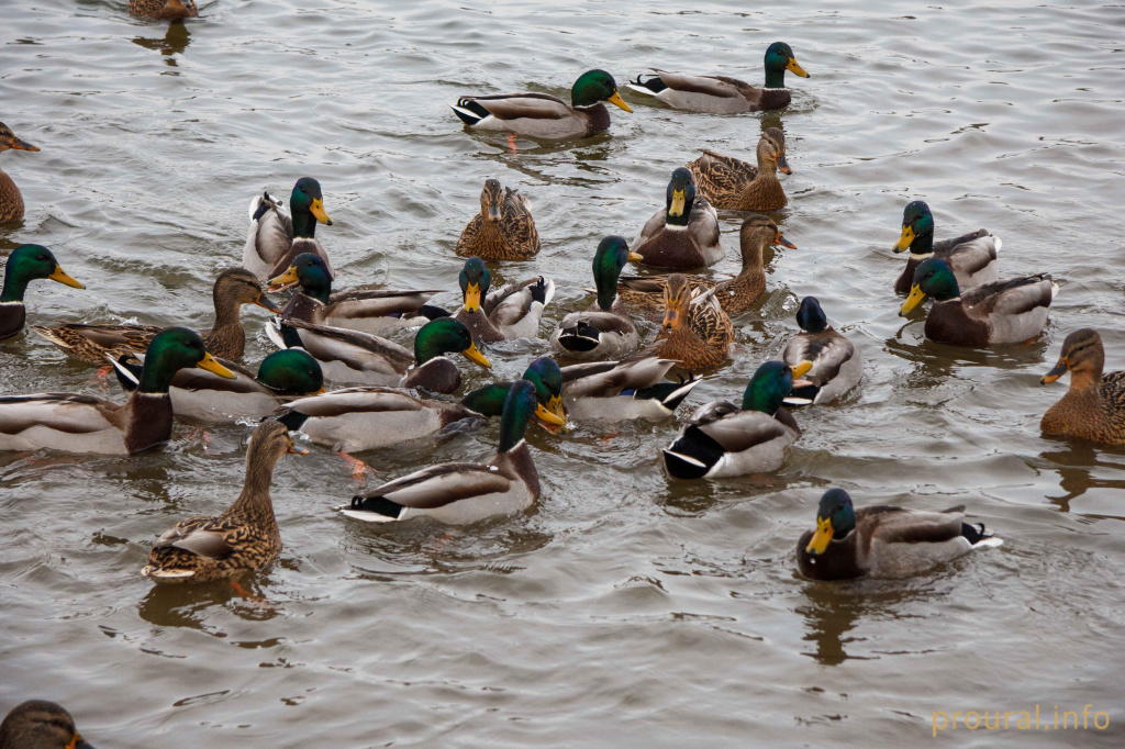 IMG_0915.jpg IMG_0915.jpg