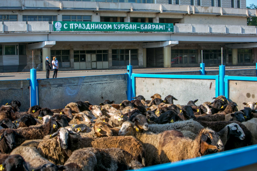 Курбан Байрам 1.jpg