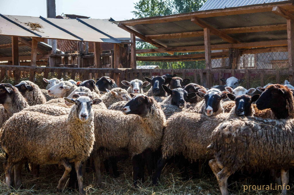 IMG_6002.jpg IMG_6002.jpg