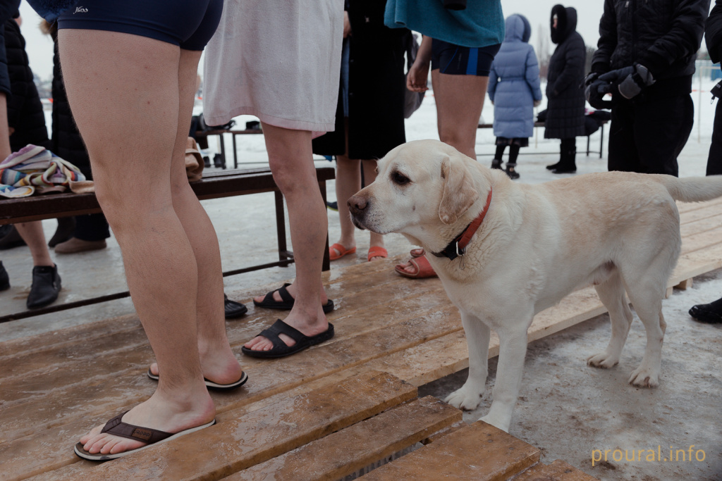 Крещение день 2019 (6).jpg