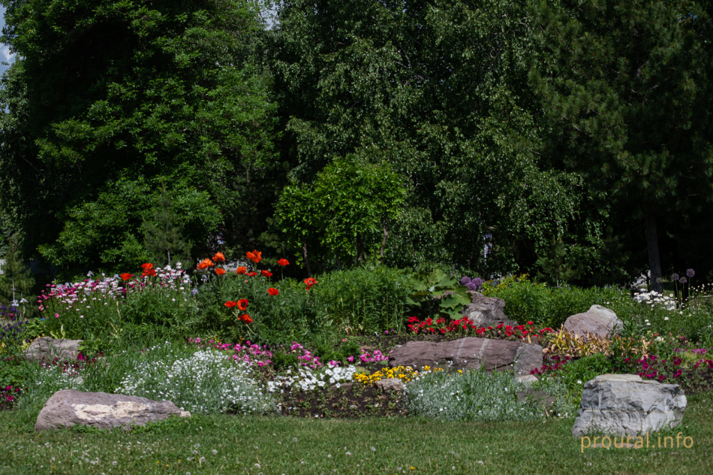 парк лето сквер.jpg