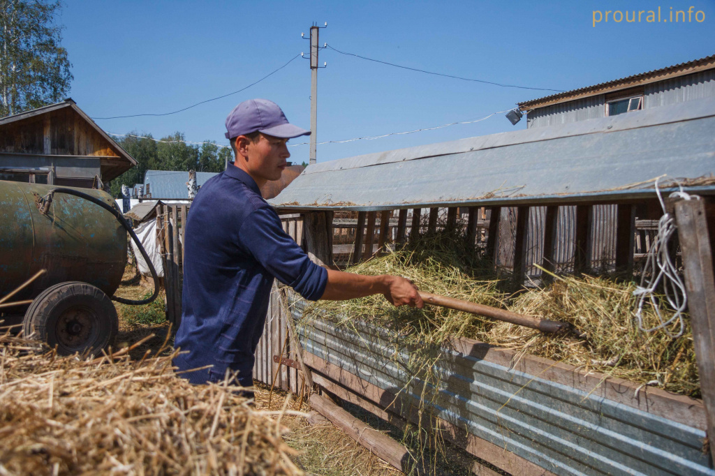 Работник из Узбекистана, по-русски не говорит.jpg Работник из Узбекистана, по-русски не говорит.jpg