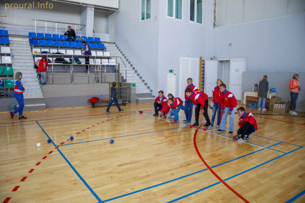 IMG_5895.jpg IMG_5895.jpg