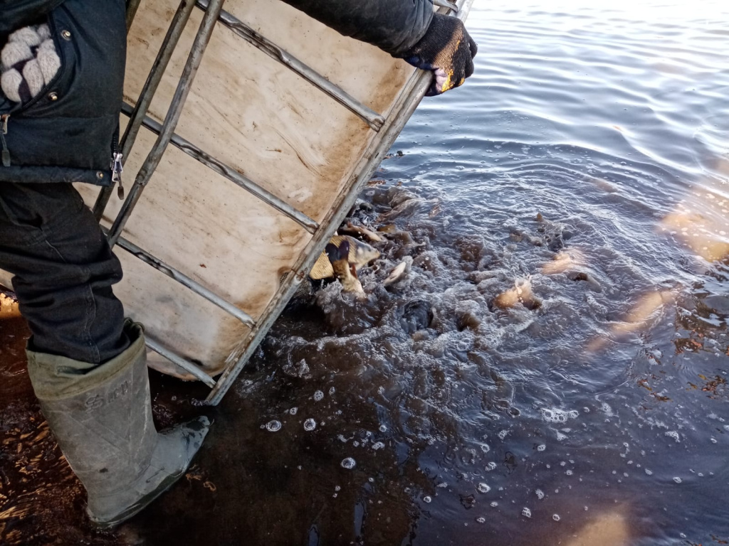 WhatsApp Image 2022-10-23 at 15.19.22(1).jpeg