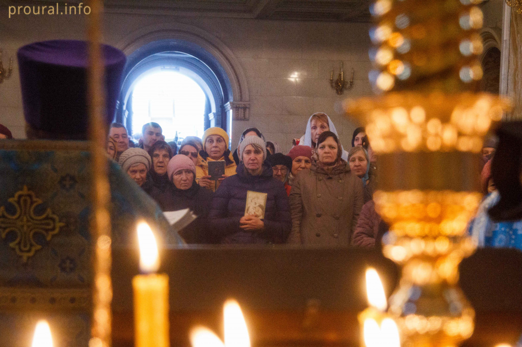 IMG_5233.jpg IMG_5233.jpg