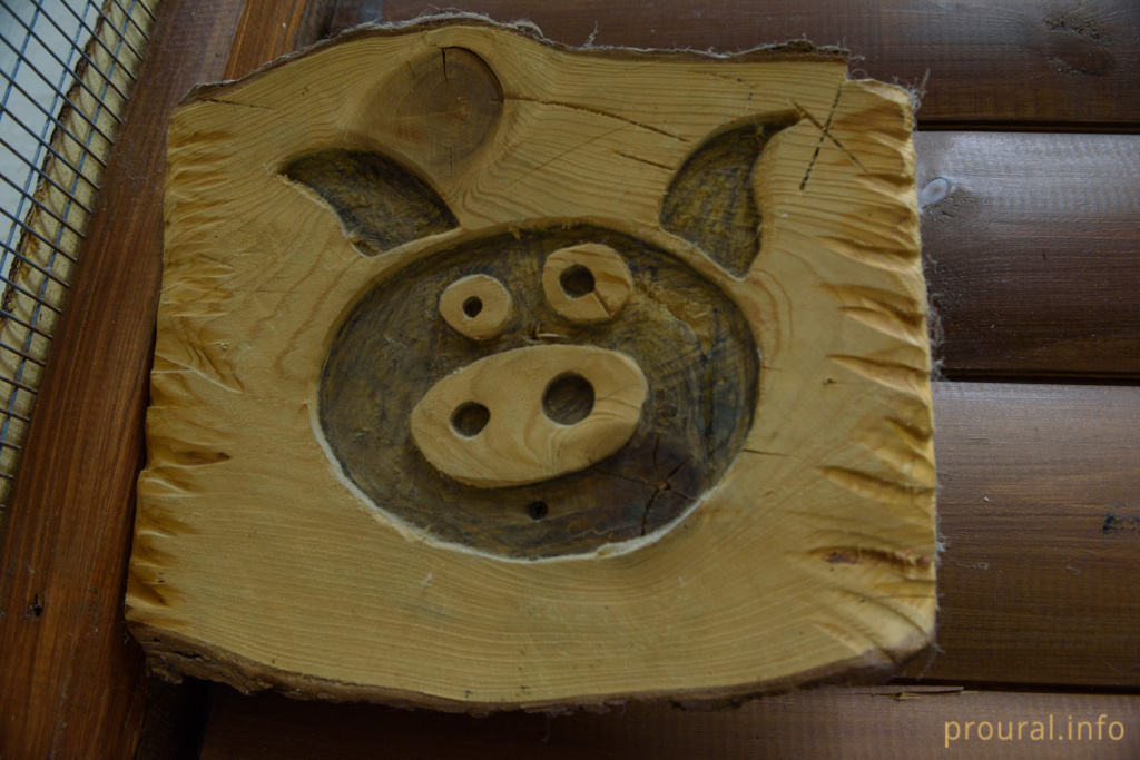 минипиг хрюша свинья свинка новый год символ года (70).jpg