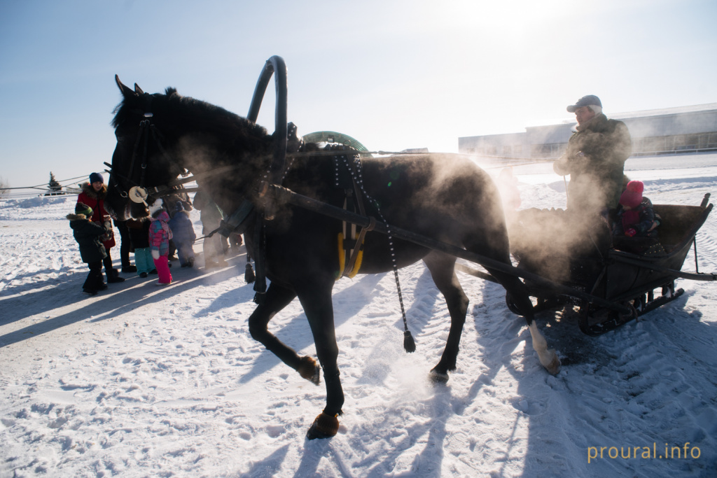 DSC_2171.jpg DSC_2171.jpg