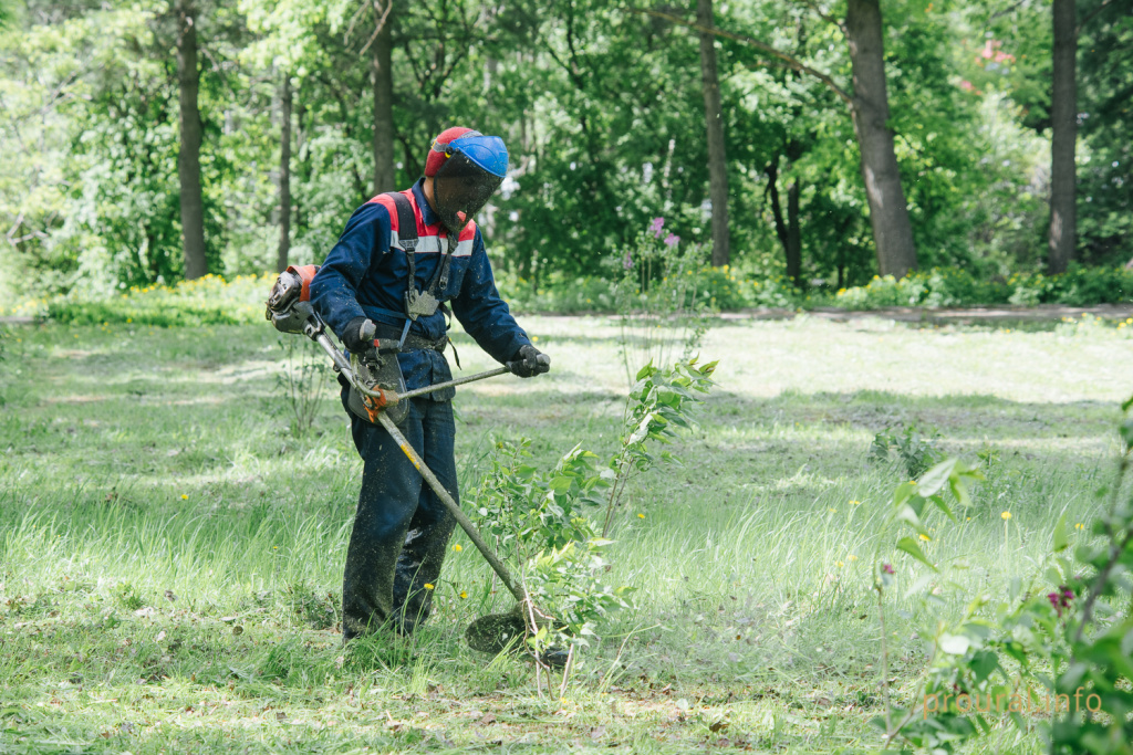 сирень ботсад весна 2020 парк (8).jpg