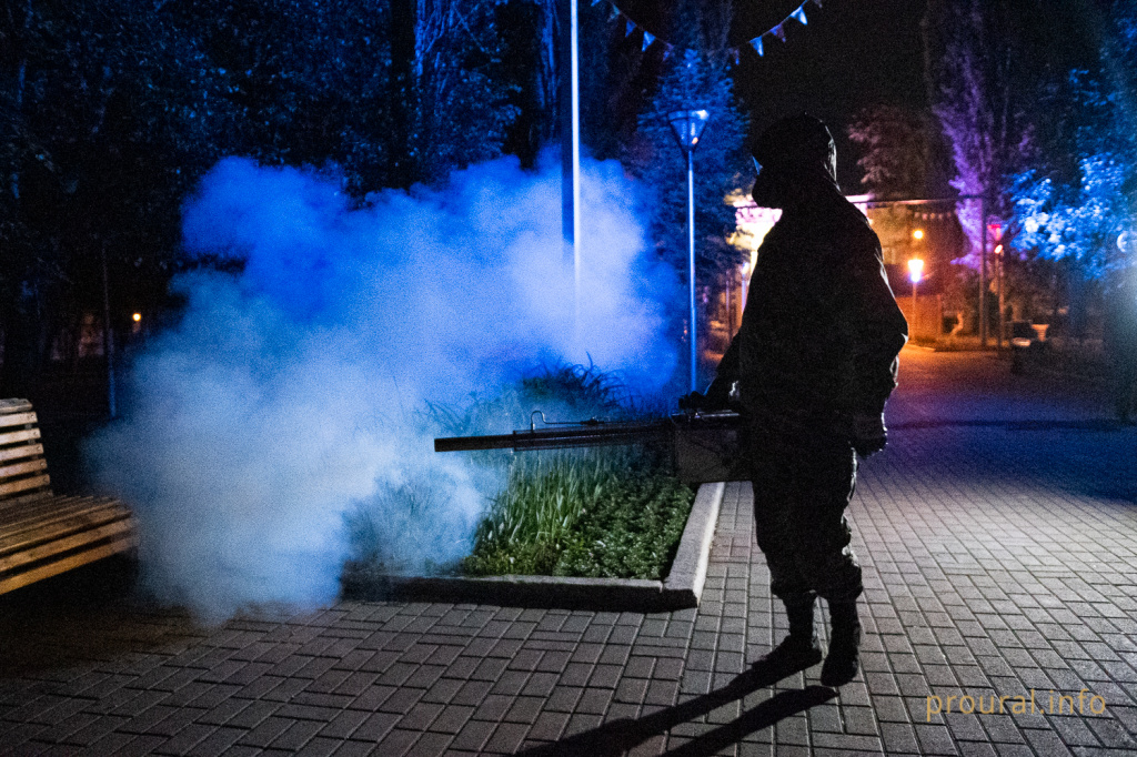 Комары Парк Якутова (16).jpg