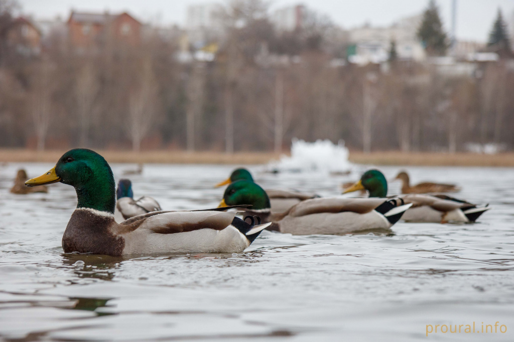 IMG_0906.jpg IMG_0906.jpg