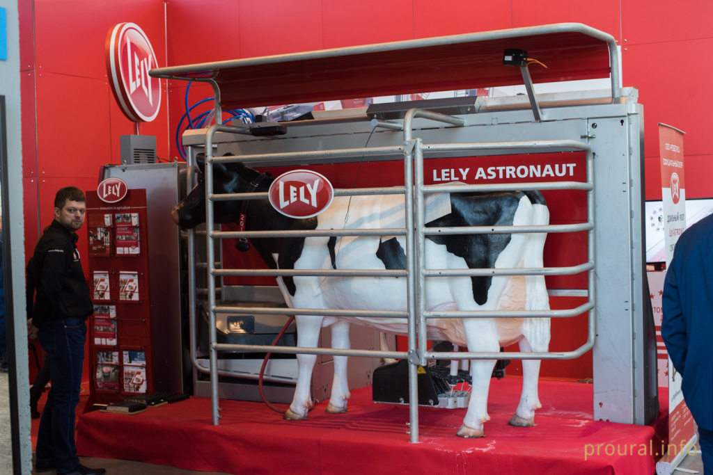 DSC_7969.jpg DSC_7969.jpg