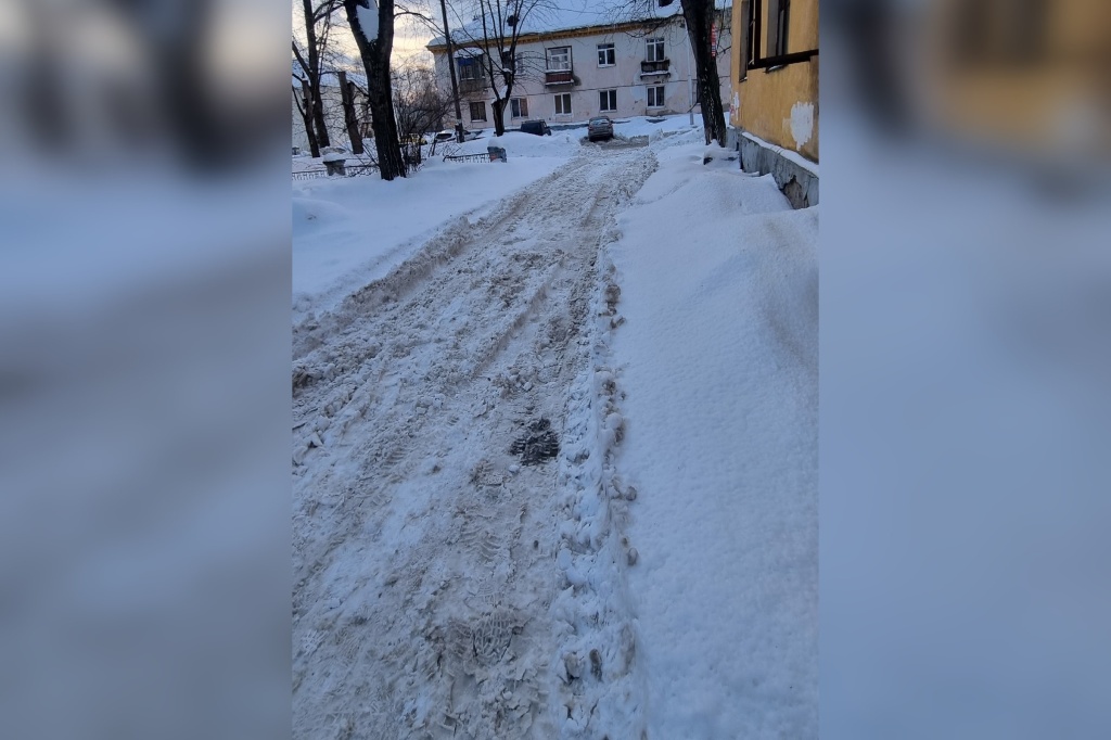 снег 10.jpg снег 10.jpg