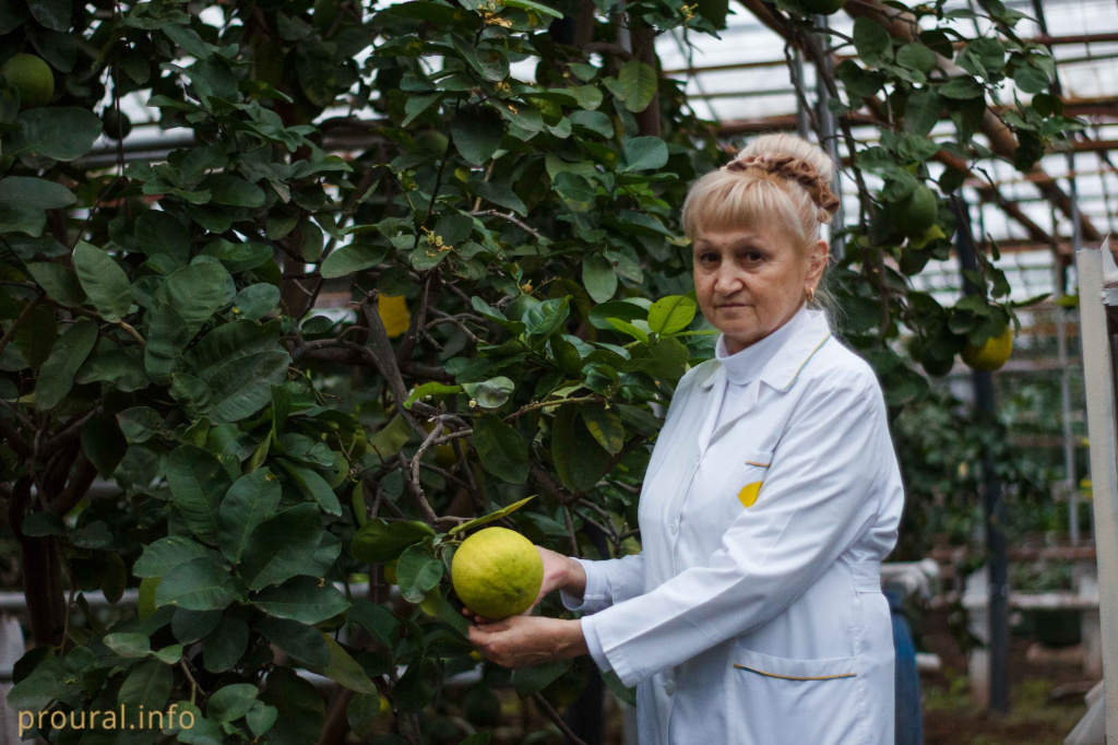 Фарида Валеевна, (2).jpg Фарида Валеевна, (2).jpg