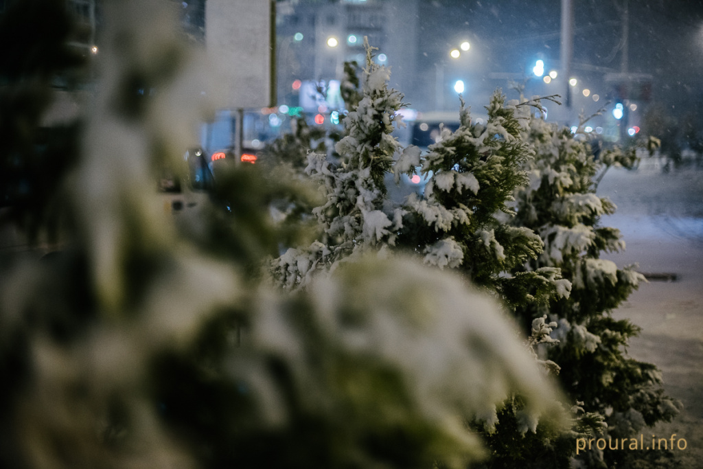 первый снег осень зима (6).jpg