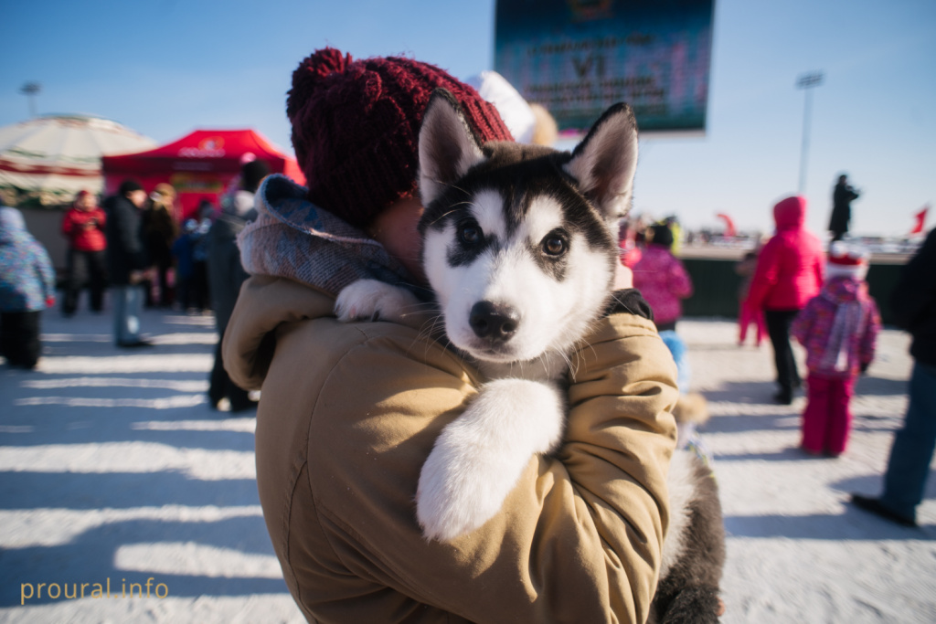 DSC_2146.jpg DSC_2146.jpg