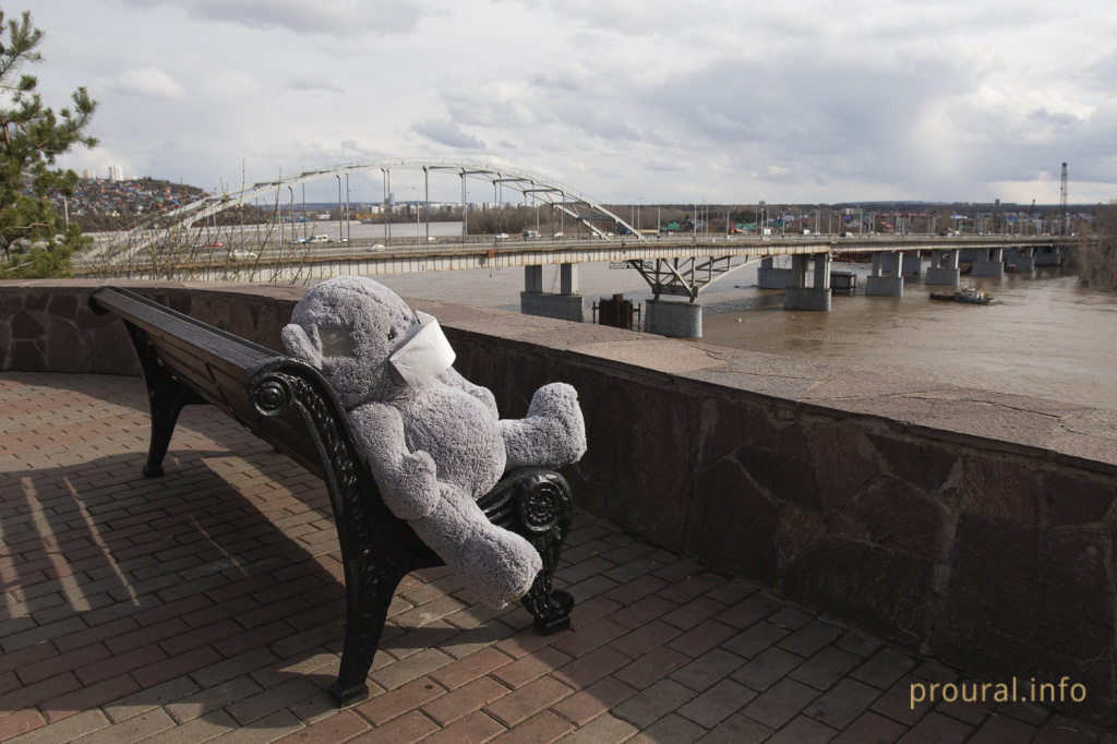 Мишка медведь уфа парк коронавирус карантин (8).jpg