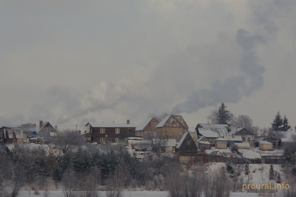 Кашкадан зима утки лес шишки птицы (4).jpg