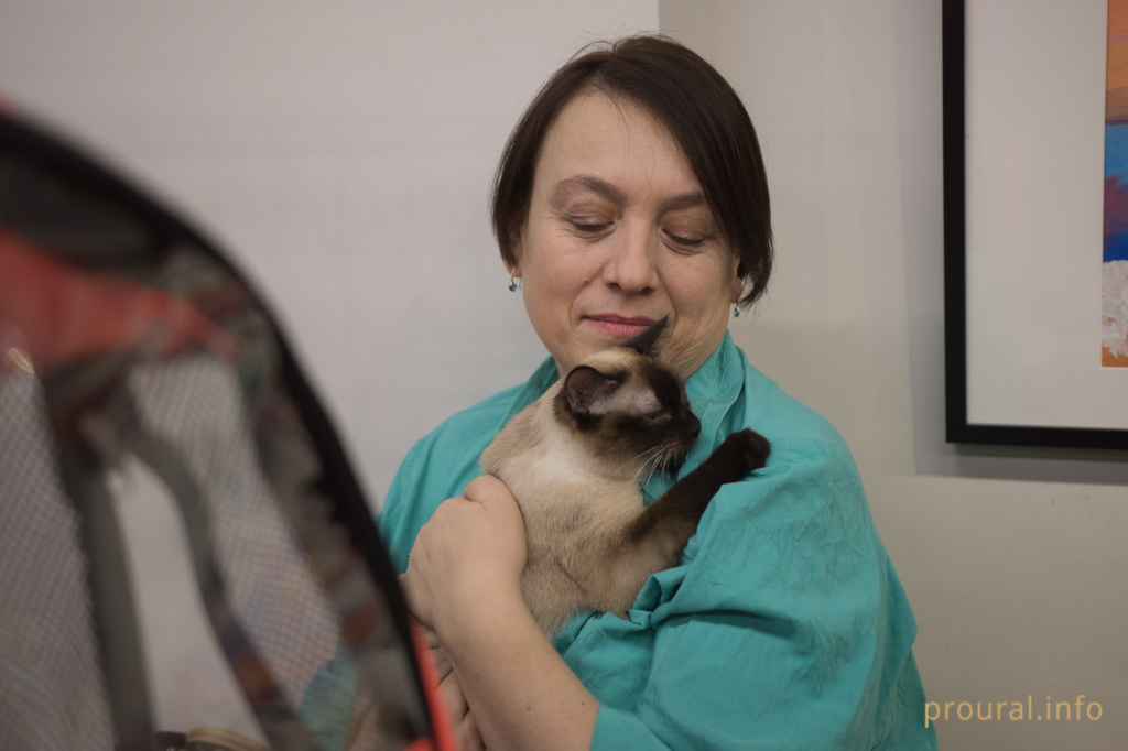 Выставка кошек (3).JPG