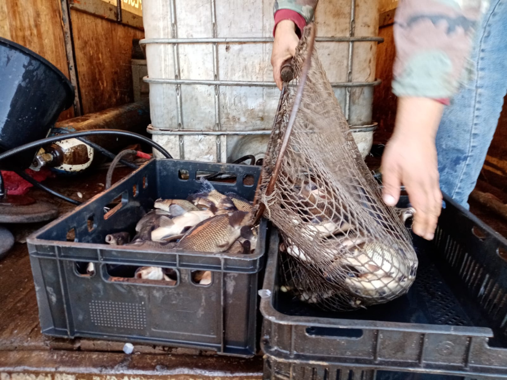 WhatsApp Image 2022-10-23 at 15.18.47.jpeg