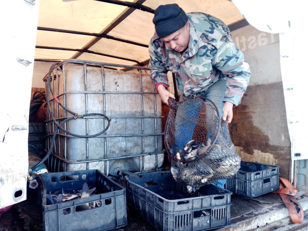 WhatsApp Image 2022-10-23 at 15.18.41.jpeg