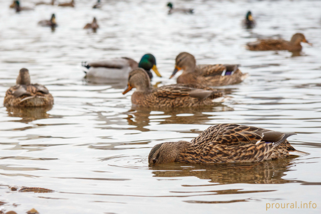 IMG_1002.jpg IMG_1002.jpg