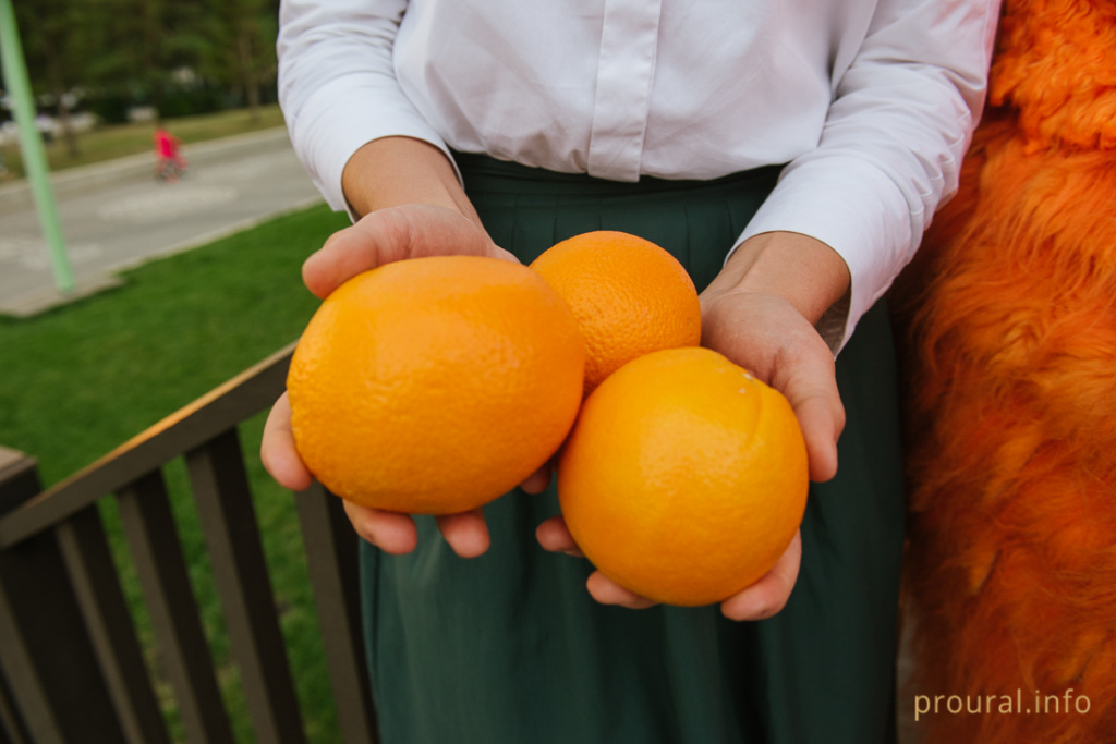 день рыжих рыжие башкирия лайфстайл (24).jpg