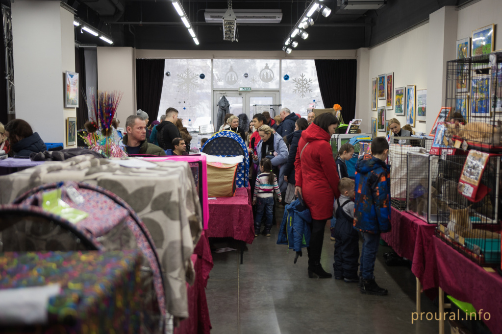 Выставка кошек (2).JPG