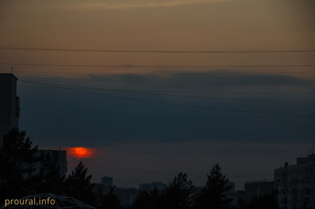 IMG_0204.jpg IMG_0204.jpg