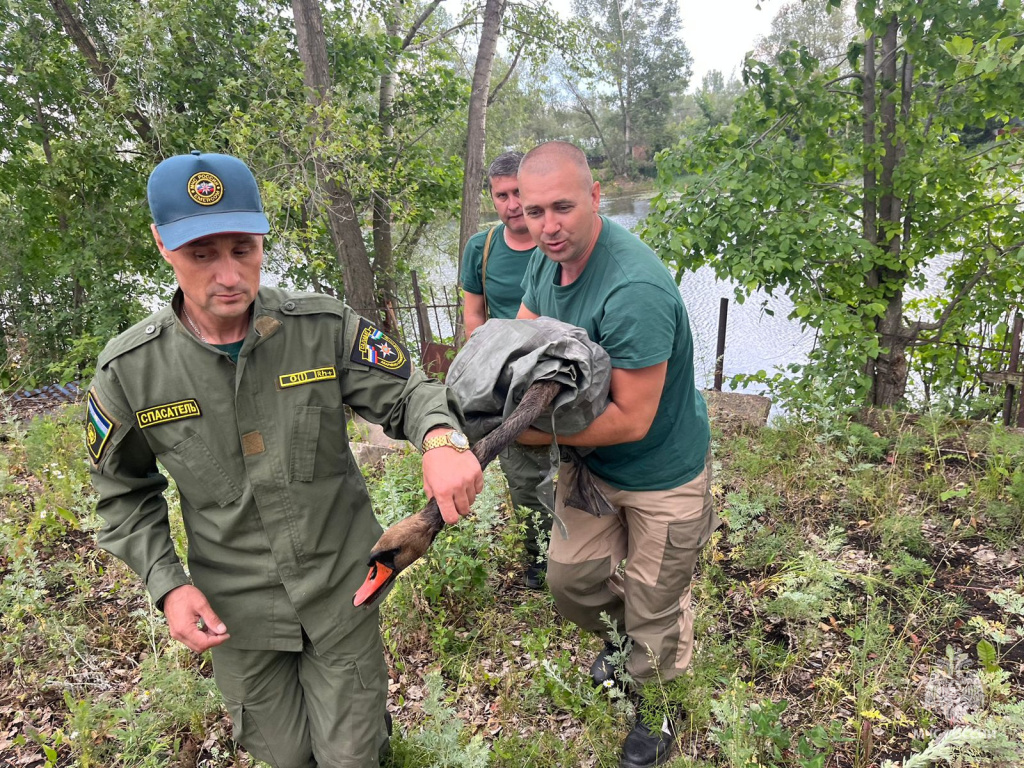 WhatsApp Image 2023-06-27 at 15.44.56.jpeg