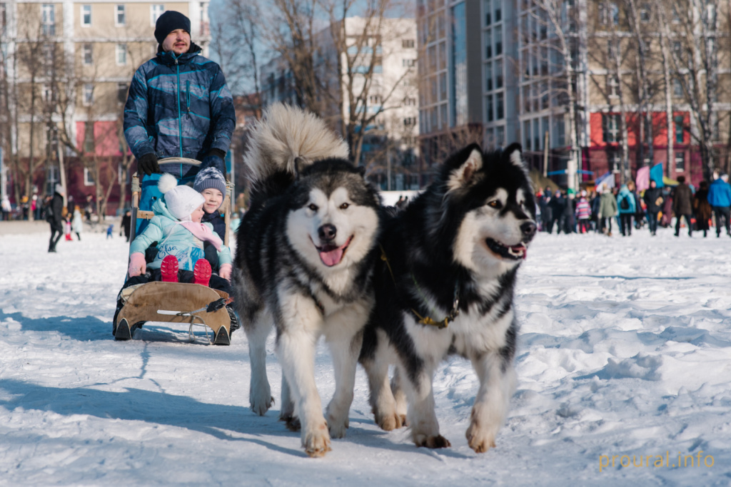 DSC_2439.jpg DSC_2439.jpg