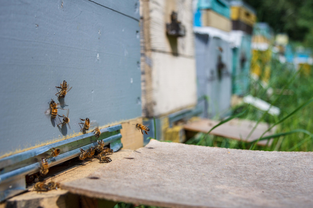 IMG_6936.jpg IMG_6936.jpg